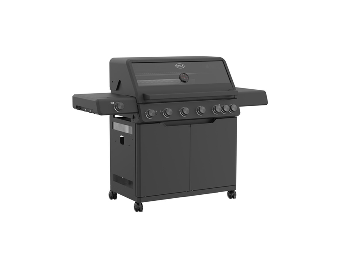 Rösle BBQ Station Gasgrill AllFlame Hero 6 flammig – 50mbar